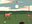Horse Cultivation