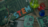 Top STEM Coding Projects to Inspire Young Learners in 2025