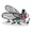 Fly Quest