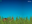 Snail Simulator 2015