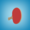 Ping