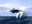Flappyplane