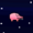 Space pig