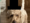 Five nights at freddy