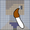 Character Design