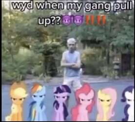 User banner