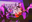 User banner