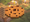 Minecraft Cookie Clicker