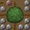 The Apple Tree