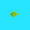My Pet Fish