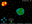 User banner