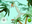 User banner