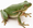 Frog golf