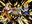 Dragon Ball Clash - 2 Player Battle!