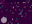 User banner