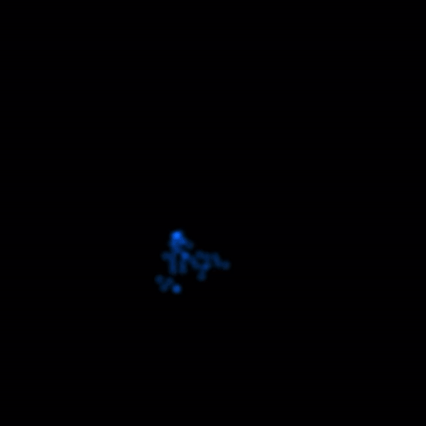 Particle Editor Overview